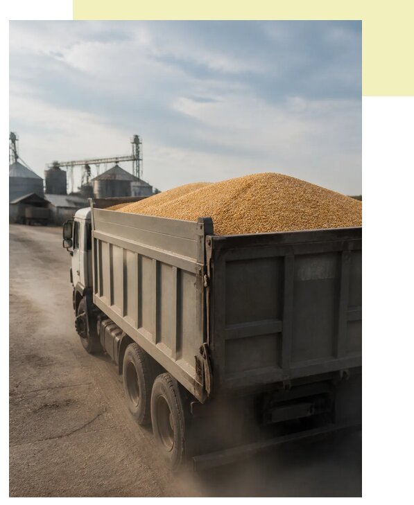 Перевозка сельхозпродукции навалом в Апатиты по цене от 3112 р. | Агросервис-Птт